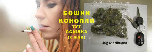 PSILOCYBIN Богородск