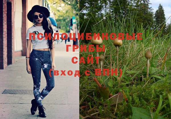 спиды Белоозёрский