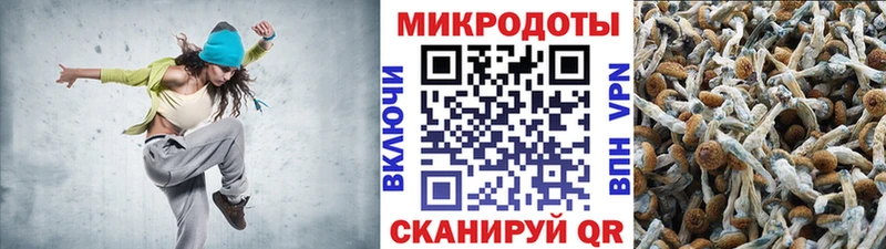 Галлюциногенные грибы ЛСД Палласовка
