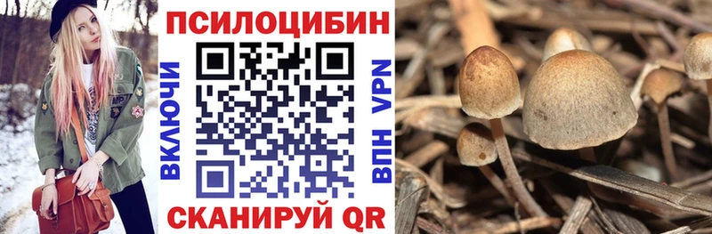 Псилоцибиновые грибы GOLDEN TEACHER  Купить  Палласовка 